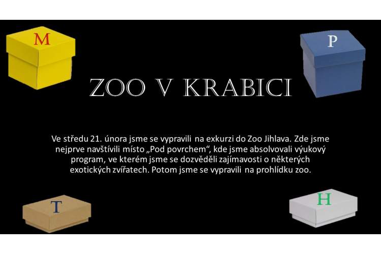 ZOO v krabici