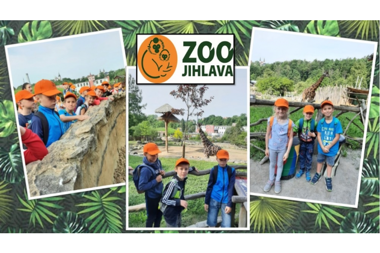 ZOO Jihlava