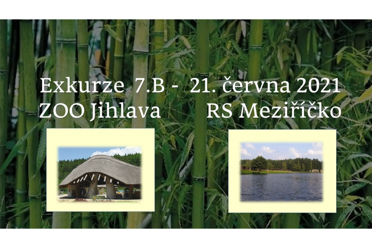 Exkurze