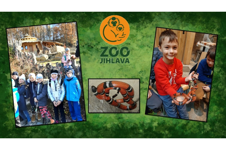 ZOO Jihlava