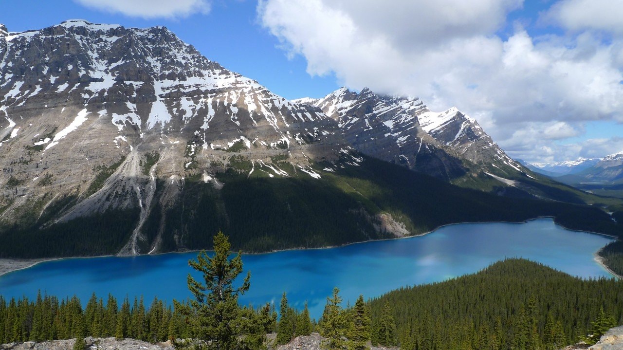 1761856922_1761856922024