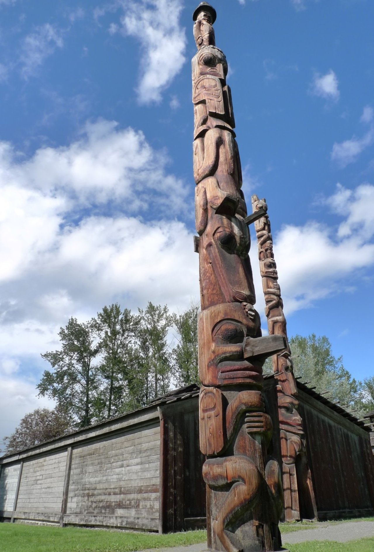 1761856952_1761856952463