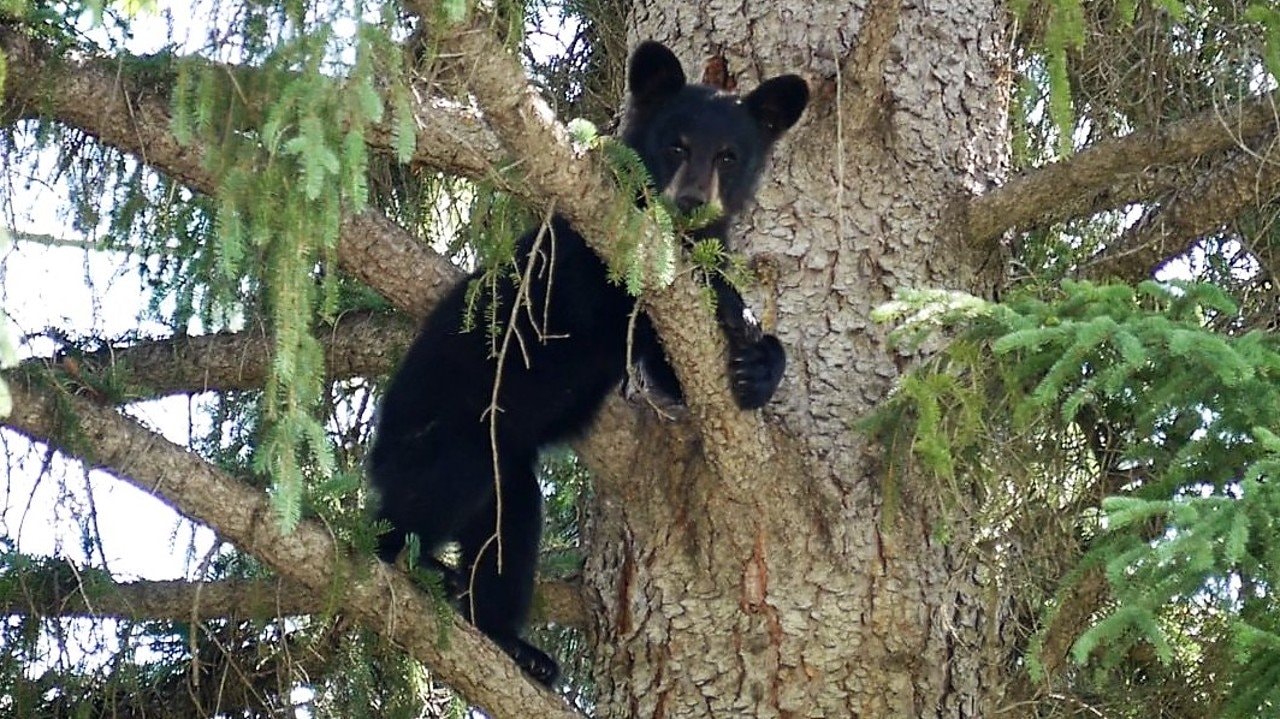 1761857060_1761857060448