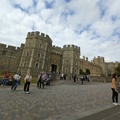 image-6246